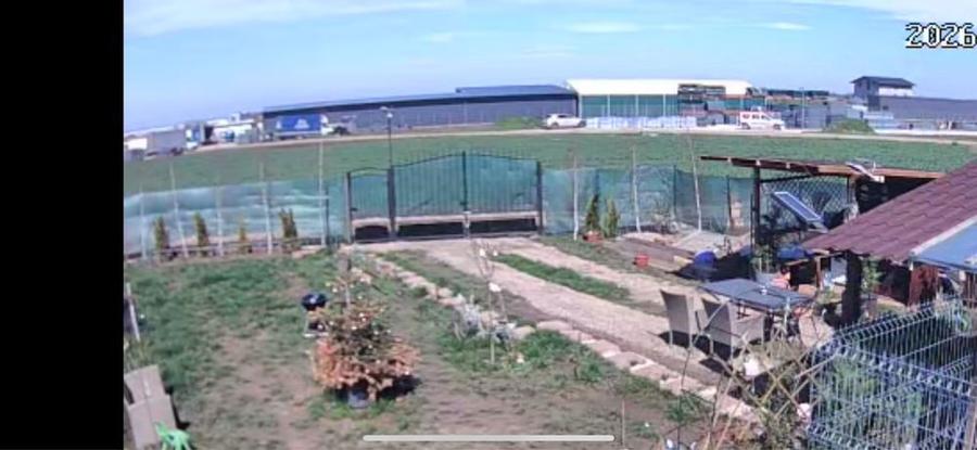 Teren de vanzare in com Dascalu - 7