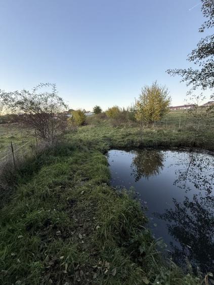 Teren extravilan de vanzare in Salicea 916mp+84mp drum necesita PUZ - 3