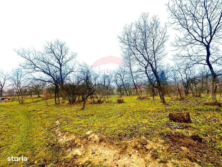DE VANZARE LOCATIE SUPERBA - 5
