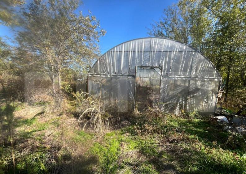 Casa tradi?ionala cu teren 4.500 mp ?i anexe gospodare? - 5