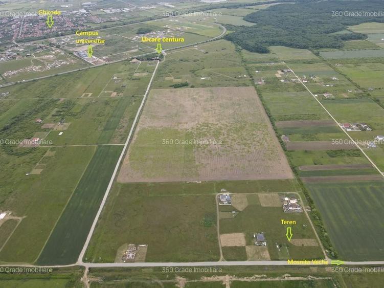 Teren  978 Mosnita - 2