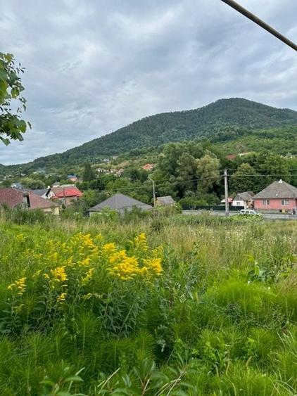 AUREL VLAICU teren intravilan 2000mp cu proiect deosebit! - 1