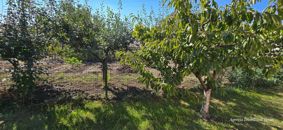 Casa cu etaj in Catamarasti Deal - 18