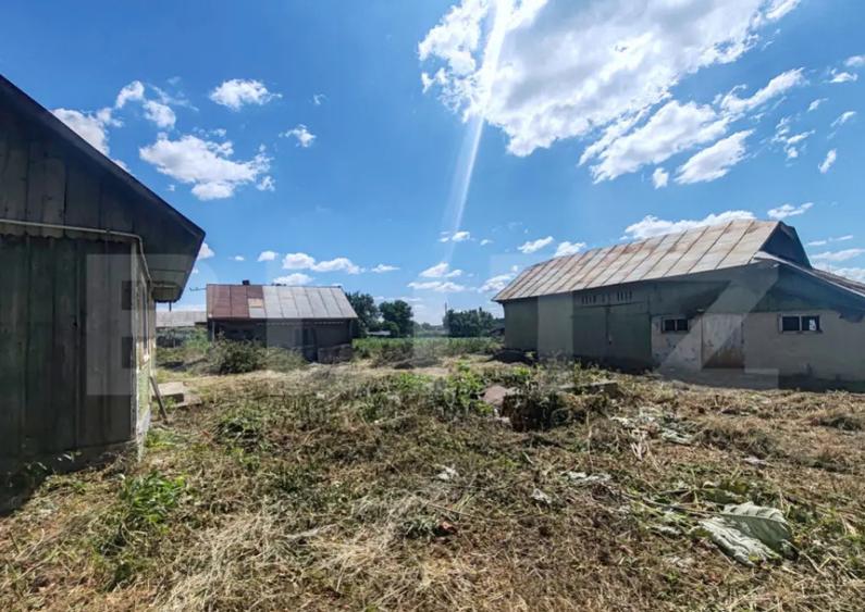 Teren 9600 mp si casa batraneasca demolabila, Dealu - 2