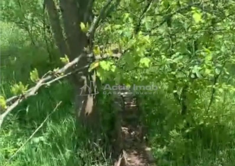 Teren intravilan 500 mp - Ganeasa - 3