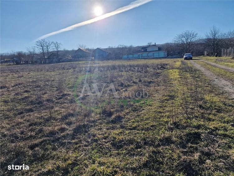 Teren intravilan 1.800 mp Deschidere 104 ml | Sarata Bacau - 3