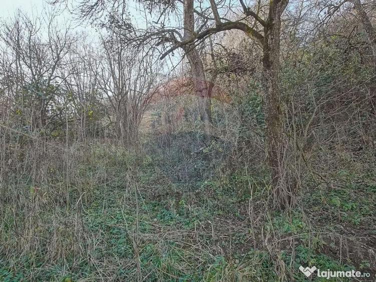 Comision 0! Casa cu teren de 1000mp in inima Brasovului - 4