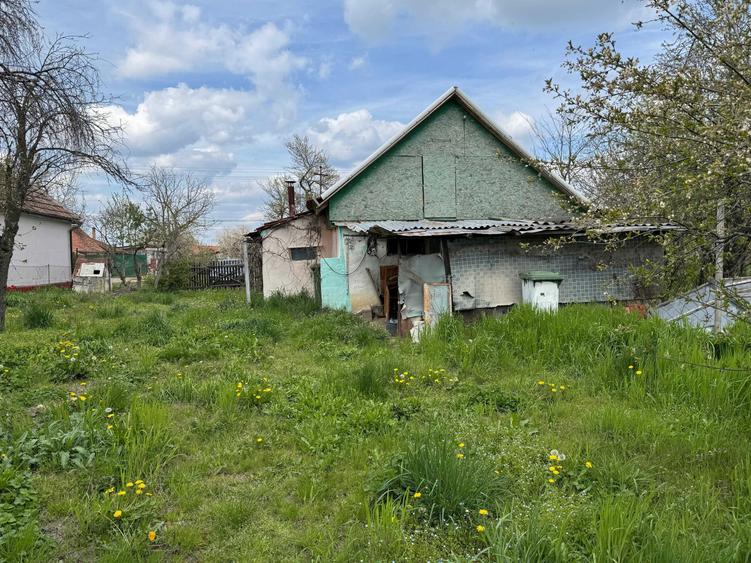 Teren intravilan cu casa batraneasca in vatra satului Dragsina - 8