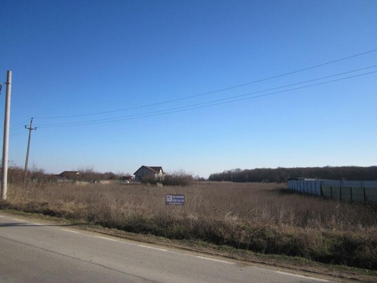 Teghes-Padurarului - 4