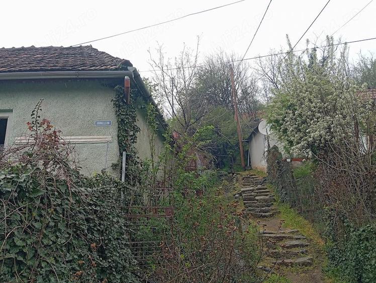 Vand casa in Oravi?a - 3