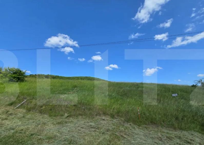 Teren de investitie in localitatea Ciurila - 2