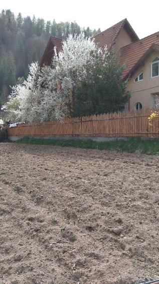 Vila cu 13 camere de vanzare in Valcea, Voineasa - 5