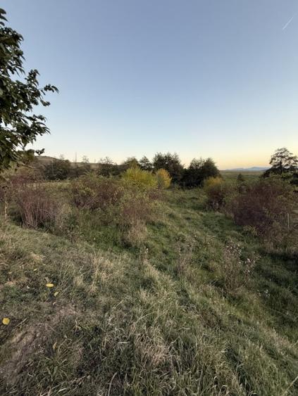 Teren extravilan de vanzare in Salicea 916mp+84mp drum necesita PUZ - 2