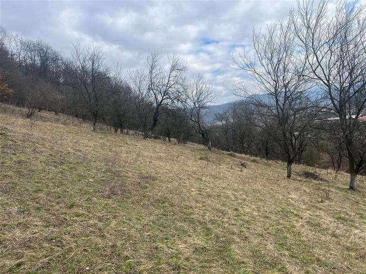 Teren intravilan si extravilan Luncoiu de Jos - 3