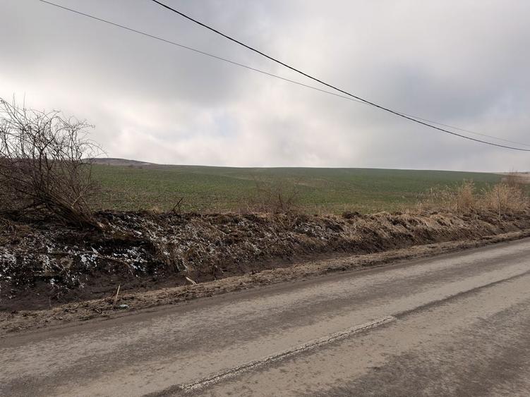 Teren extravilan - 3