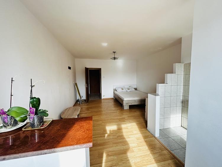 Titan, Minis, 5 min. Metrou, Parc IOR, garsoniera - 2