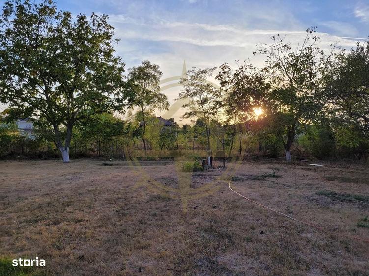 Dom00438 - de vanzare teren intravilan 1000 mp. corbeanca - 5