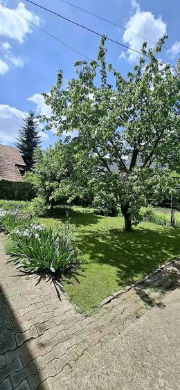 Proprietar vand casa in Valea Lupului pozi?ie excelenta, gradina superba ?i poten?ial comercial - 4