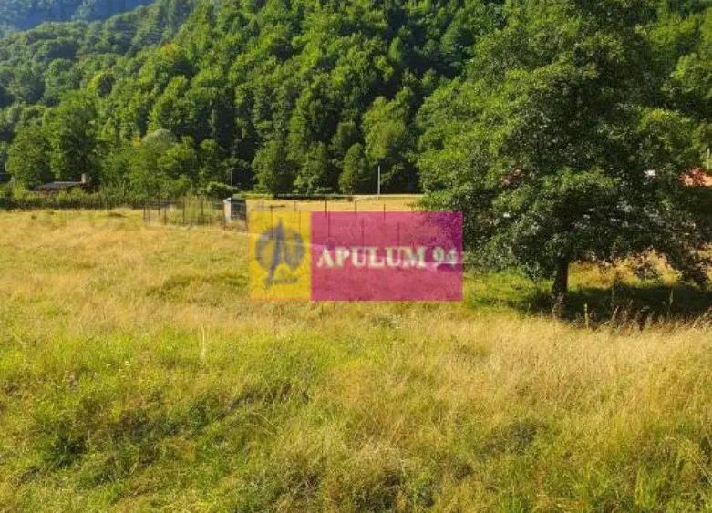 Teren Jude?ul Valcea - Brezoi, Valea lui Stan - 16