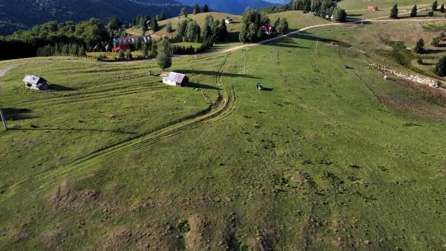 Teren de vanzare in Paltinis - 2