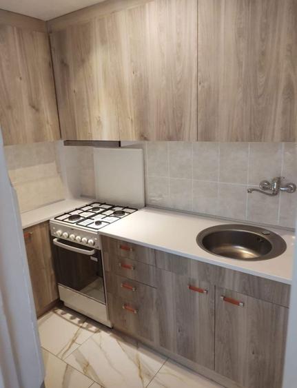 Garsoniera Aluminei, Rogerius - 3