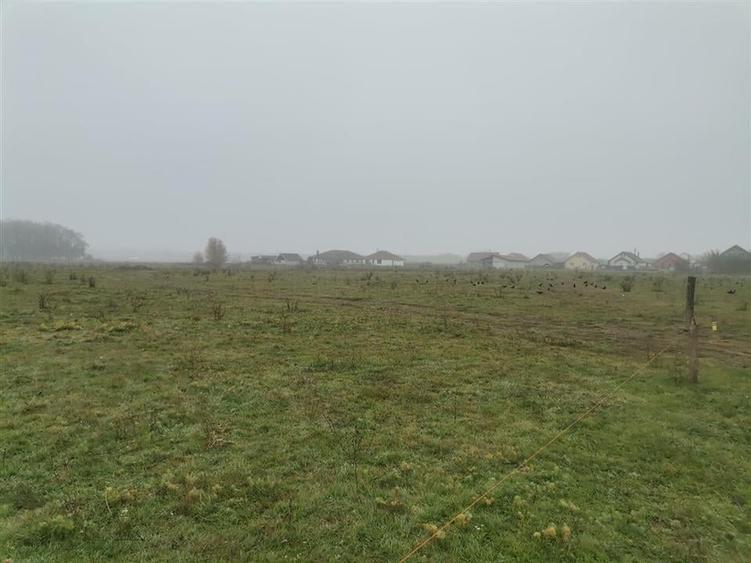 RECO Teren intravilan in Biharia - 4