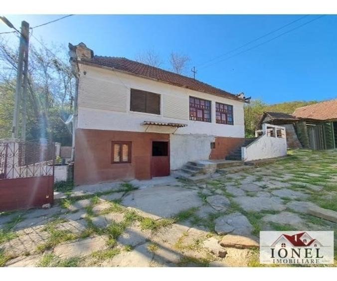 Casa de vanzare cu 46774 mp teren in zona Vintu - 4