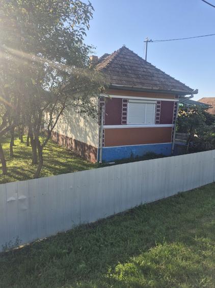 Casa de vanzare in Craiesti - 8