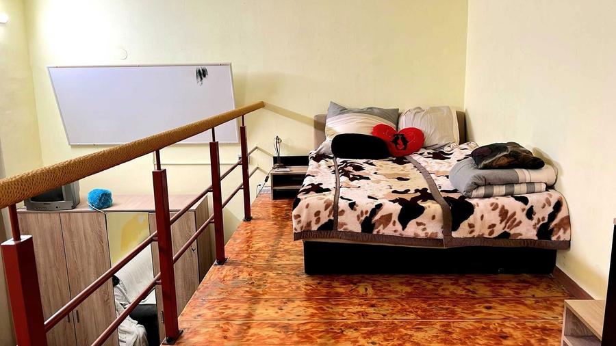 VAND / INCHIRIEZ - 2 apartamente Ultracentral langa Teatru si Moise Nicoara - 5