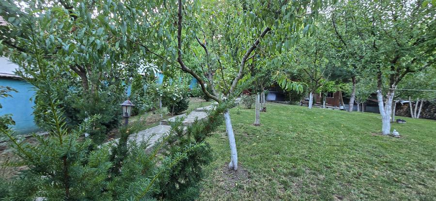 Moreni , Dambovita , vanzare proprietate -casa si teren - 29