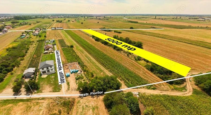 Teren intravilan construibil Bolintin Deal 5000 mp - dubla deschidere - 1
