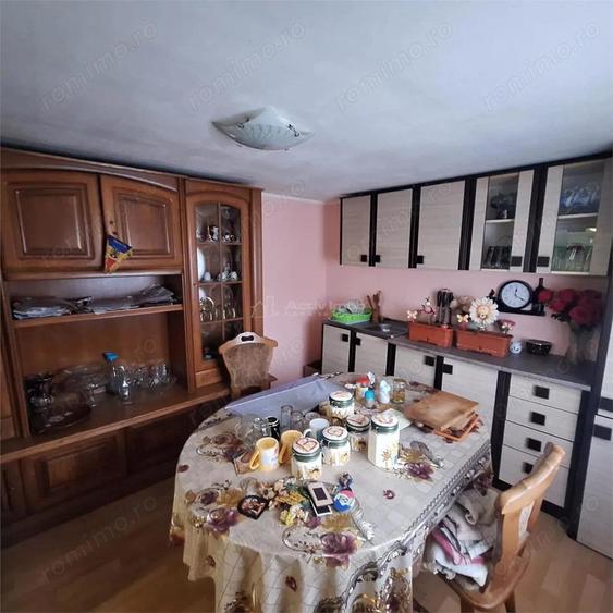 BOCSA Montana, Casa Cocheta cu curte . - 15