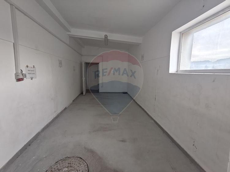 Spatiu productie alimentara 265 mp, Dambul Rotund - 5