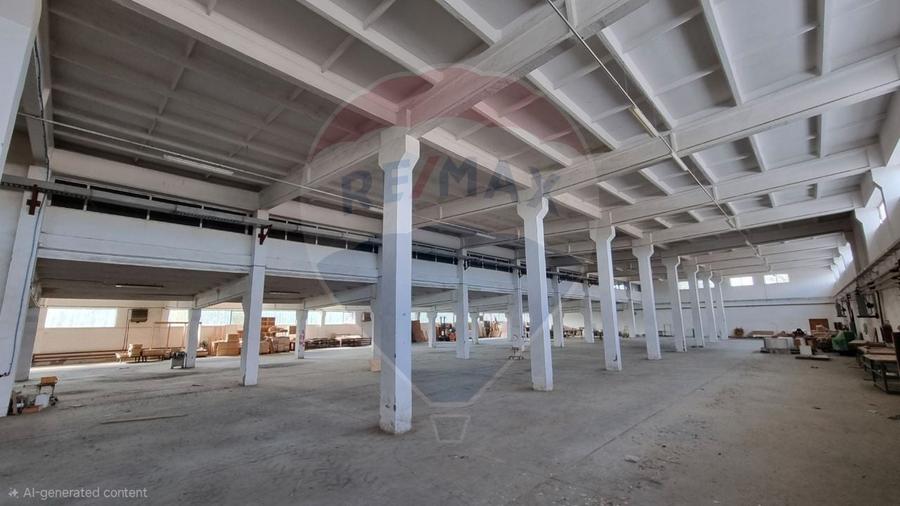 Teren Industrial de Vânzare 4.4 Ha - Zona industrială - Hârlău - 4