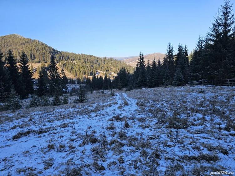 Teren extravilan de vanzare inconjurat de padure in Bucovina zona Breaza - 9