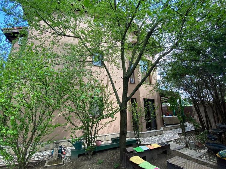 Vila 8 camere | padurea Baneasa | teren 383 mp - 19