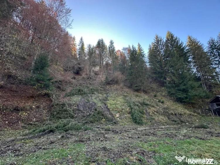 Teren 2.882 mp oportunitate investitie - Cheile Dambovi - 3