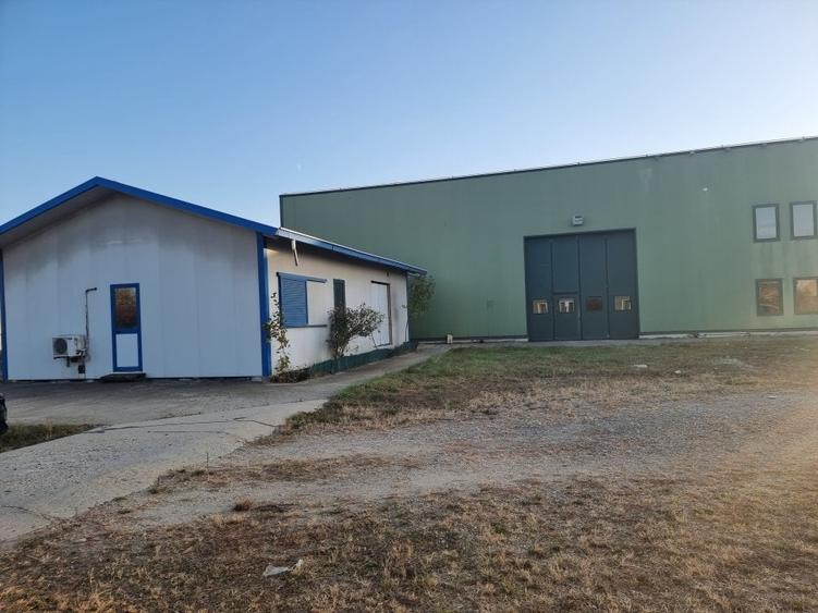 Hala 600 MP- Teren 15000-Otopeni-Centura Bucuresti - 1