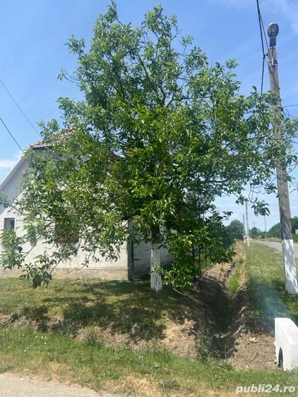 vand casa la tara - 6