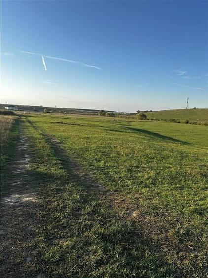 RECO Teren intravilan, Cihei, 2000 mp - 2