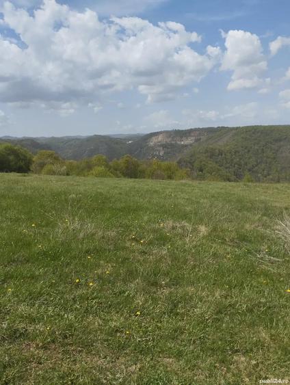 Teren de 3774 mp, în Ghelari