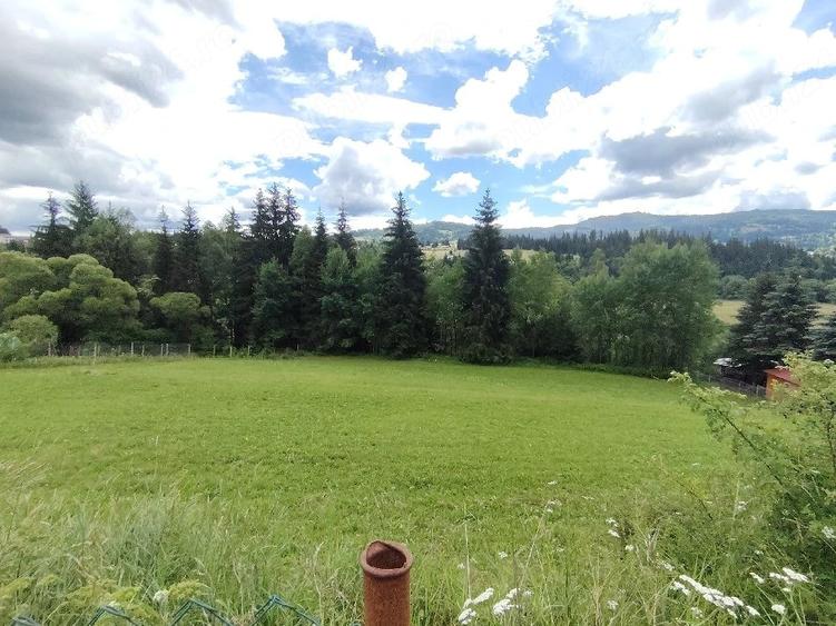 Teren de 19370 mp, în Neagra