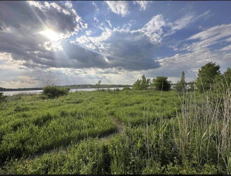 Teren Construcții intravilan de 2500 mp, în Cernica