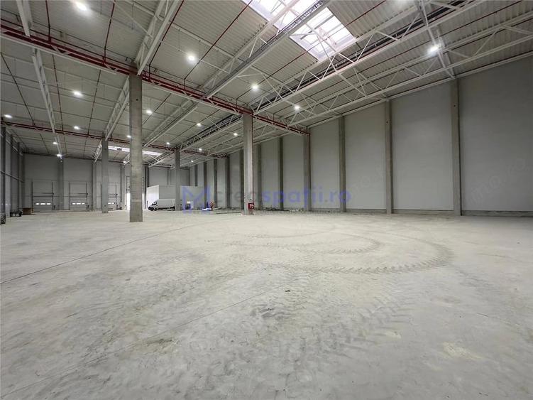 Spațiu comercial, de 2,742 mp, în Brătuleni