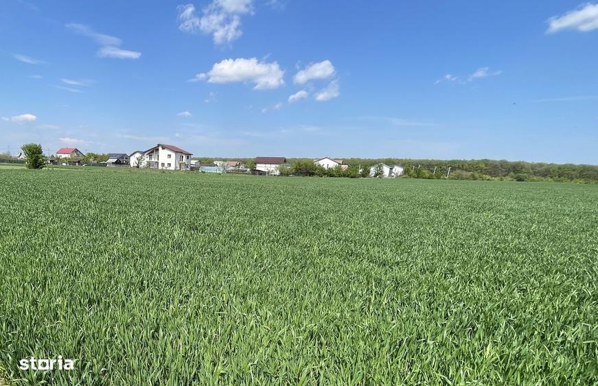Teren de 1100 mp, în Moara Vlăsiei