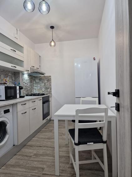 Sos. Viilor - Parc Carol - Apartament 2 camere - renovat - mobilat utilat modern - 9