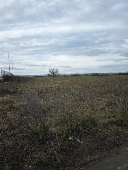 Teren intravilan Vaslui Strada Dimitrie Cantemir - 2