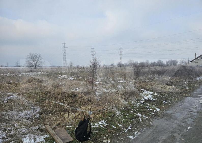 Teren extravilan cu o suprafata de 400mp. Albesti - 4