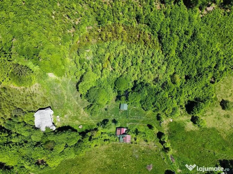 Comision 0%! Proprietate in natura, priveliste superba, S... - 15