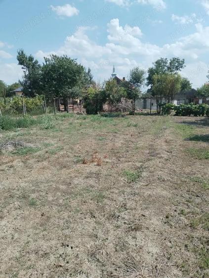 Proprietar vand casa loc Racovita judet Timi? - 5